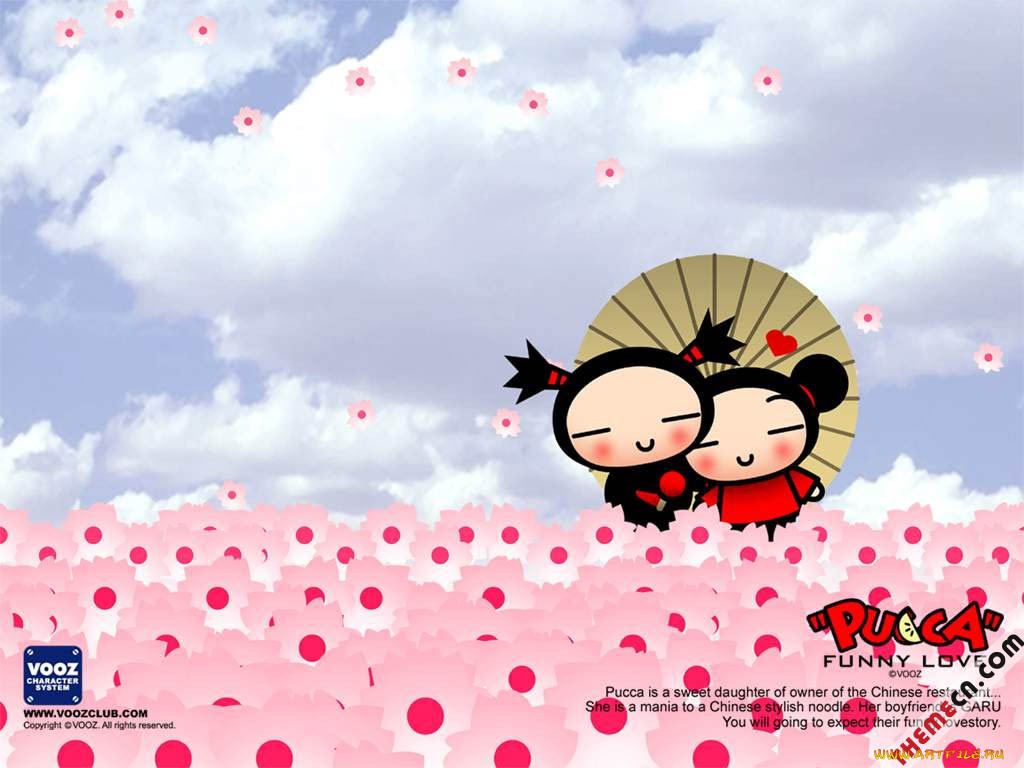 , pucca